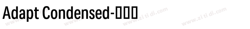 Adapt Condensed字体转换